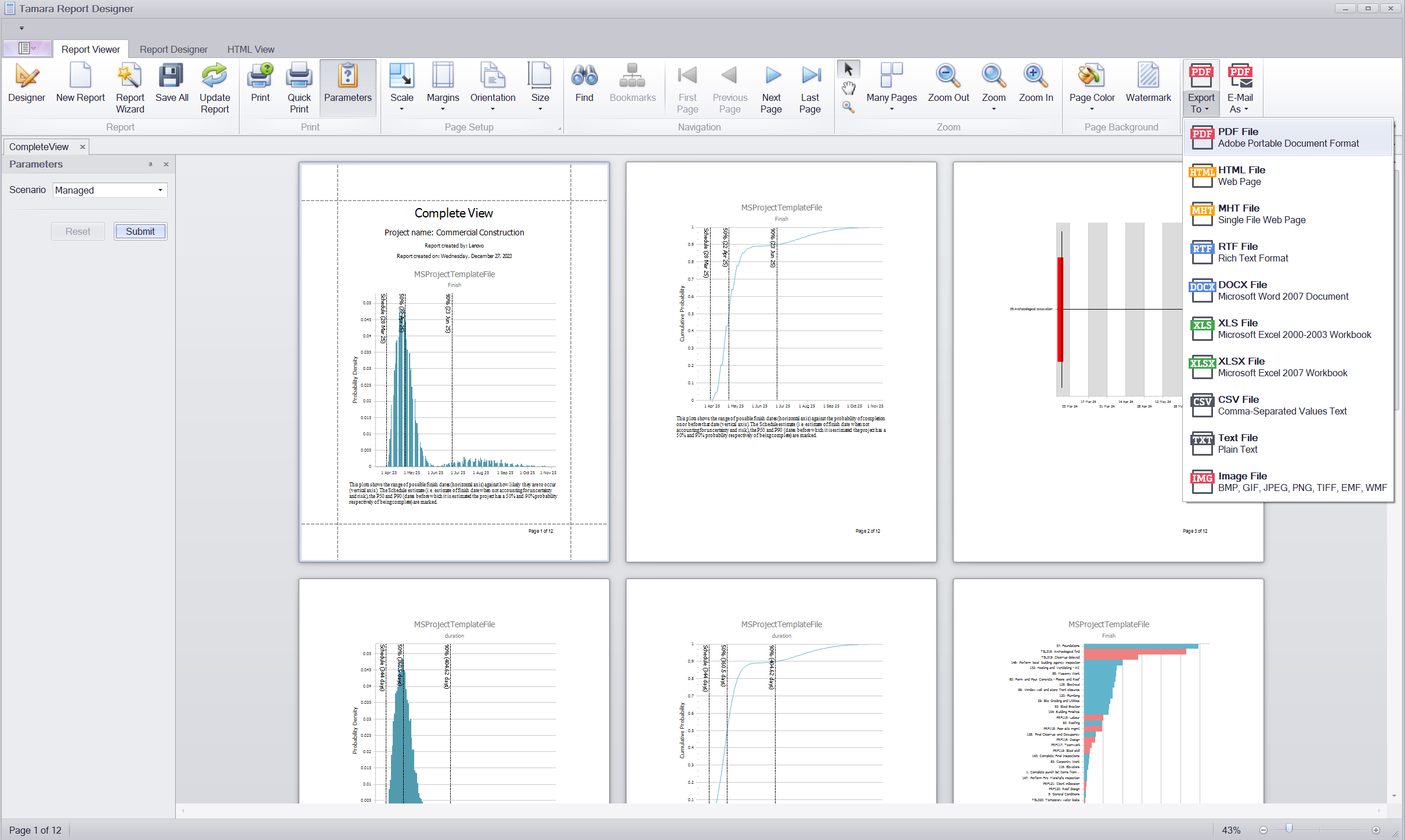Tamara project schedule risk analysis report preview
